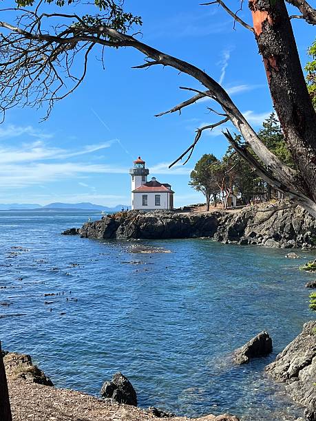 istock Lime Kiln Lighthouse with a Pacific Madrone tree in the foreground 2208042157