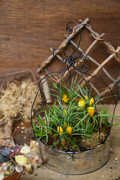 istock a flower pot garden with colorful spring flowers 2208045915