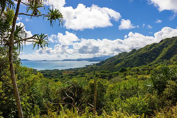 istock Lush green mountains and serene bay in Madagascar. 2208053824