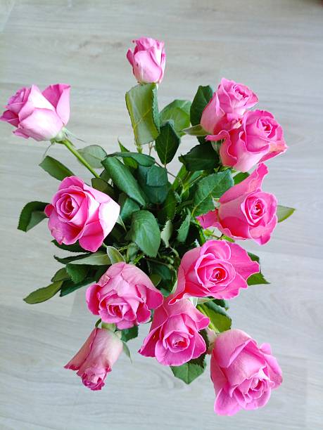 Texture wallpaper with pink roses.