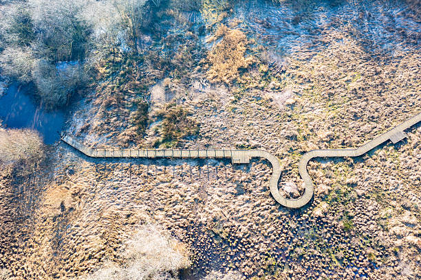 Early spring aerial view of wetland walking platform near  River Wey Guildford Surrey England Europe