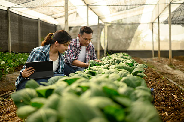 istock Smiling farmers using digital tablet while inspecting crops in a greenhouse. Concept of smart agriculture 2208069994