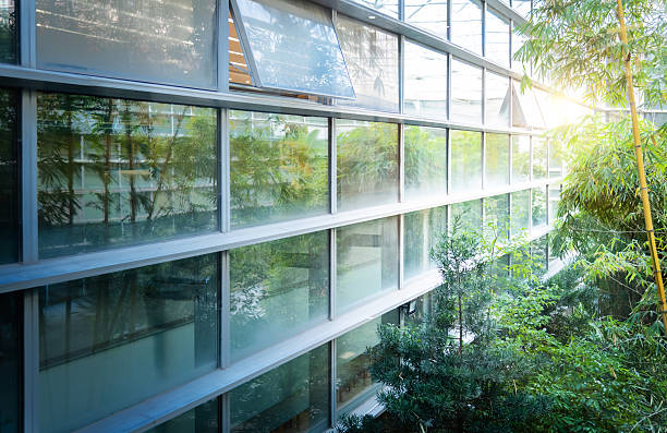 istock Plants outside the office building window 2208072688