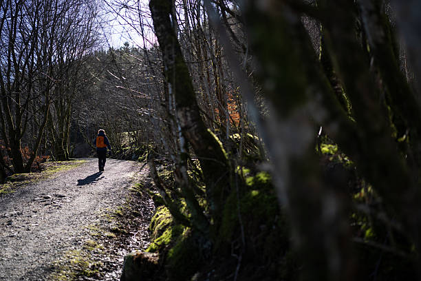 istock Woman hiking outdoors in forest during springtime in Norway 2208073505