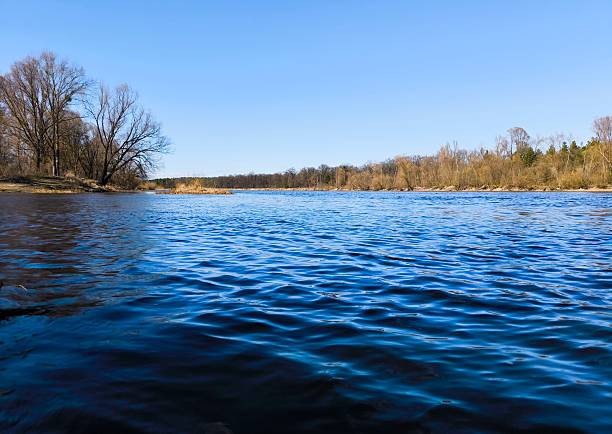 Lake is surrounded by trees. Beautiful landscape - river and blue sky. Spring landscape - blue river water and clear blue sky.