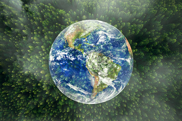 istock Aerial view forest with globe earth. Sustainable Development Goals (SDGs).Environmental technology concept.Renewable resource to reduce pollution and carbon emissions. Elements of this image by NASA. 2208079692