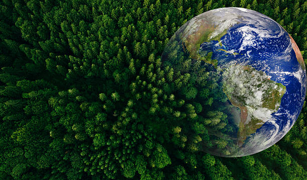 istock Aerial view forest with globe earth. Sustainable Development Goals (SDGs).Environmental technology concept.Renewable resource to reduce pollution and carbon emissions. Elements of this image by NASA. 2208079693