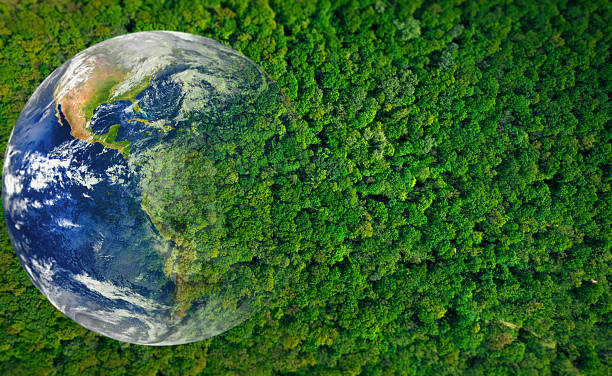 istock Aerial view forest with globe earth. Sustainable Development Goals (SDGs).Environmental technology concept.Renewable resource to reduce pollution and carbon emissions. Elements of this image by NASA. 2208079695
