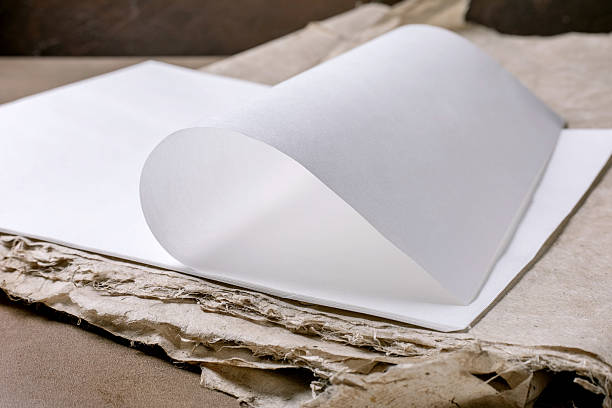 istock Elegant White Paper Curled On Cardboard 2208085618