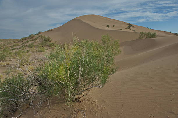istock Altyn Emel National Nature Park. 2208090689