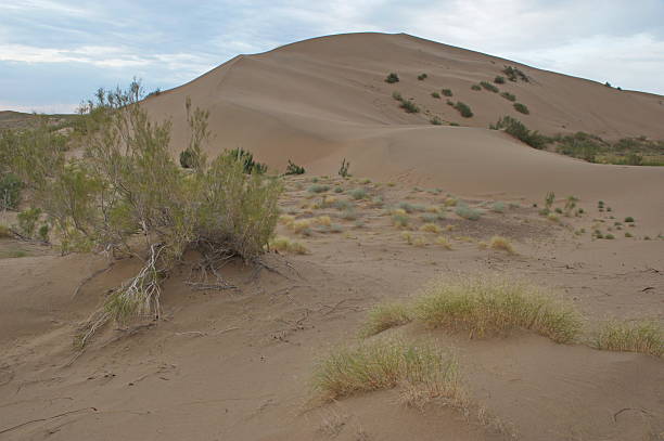 istock Altyn Emel National Nature Park. 2208091344