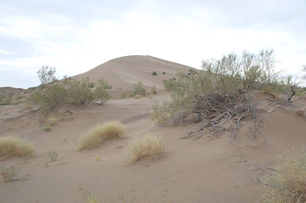 istock Altyn Emel National Nature Park. 2208091349