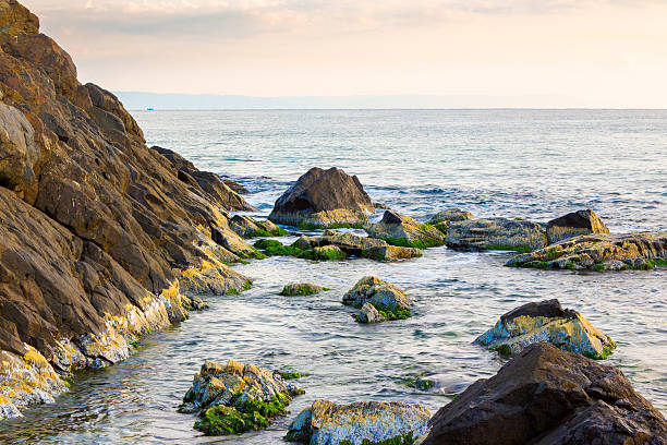 istock black sea nature in summer 2208093596