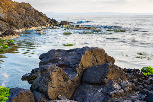 black sea nature in summer. travel background with calm water an rock on the beach in morning light. beautiful seascape