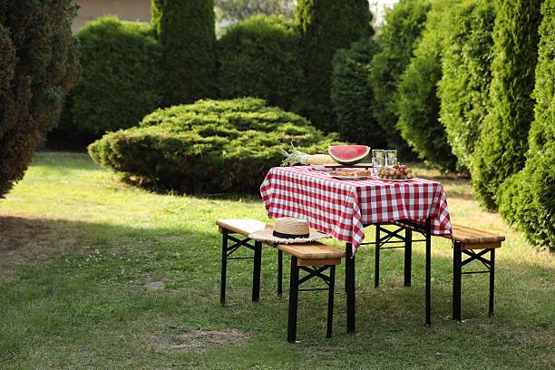 istock Fresh fruits and pie on table in garden, space for text 2208095107
