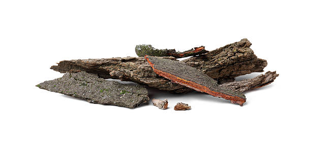 Heap of tree bark pieces isolated on white