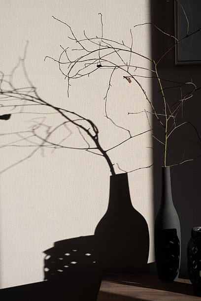 istock Dry branches casting long shadows on white wall in modern apartment 2208097016