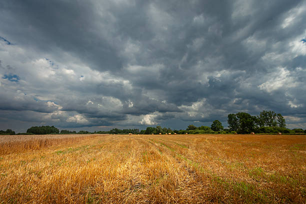 istock Dark storm clouds over a rural field 2208098334