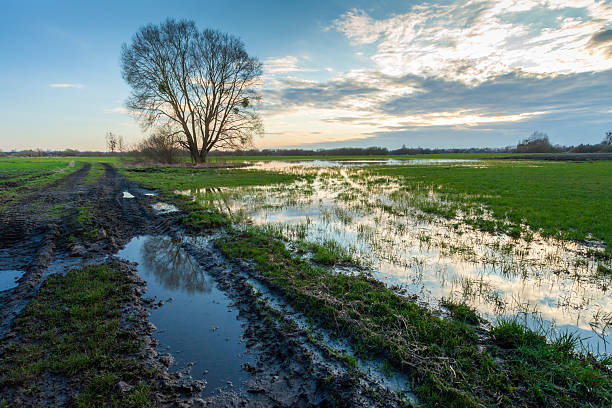 istock Water after rain on a rural road and meadow with a tree, spring day 2208098344