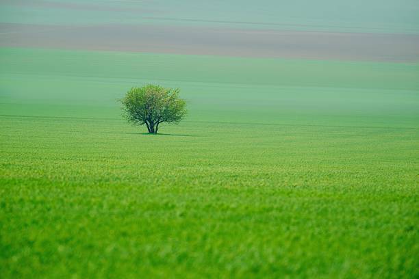 plateau of retord in ain in france