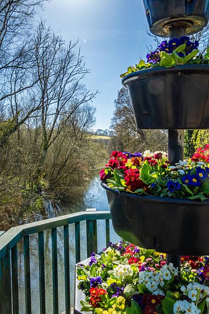 Flowers by River Kennet through Marlborough
