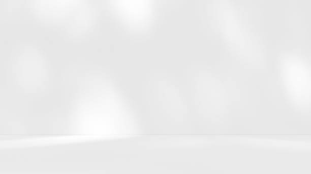 istock Empty white room studio with leaves shadow overlay effect for product presentation display. 2208109757