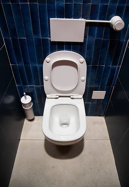 istock Italian Restaurant Bathroom with Toilet and Tiled Interior 2208109774
