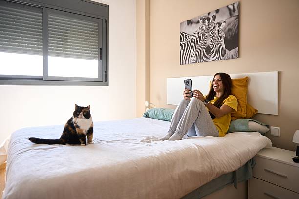 istock Young woman relaxing on bed with cat and using smartphone 2208110454