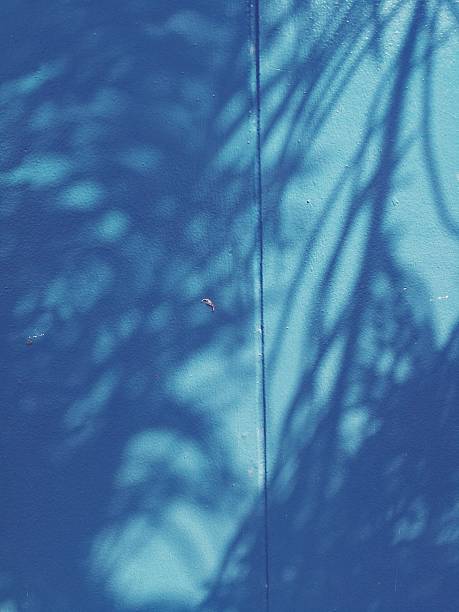 istock The late morning sun casts pine tree shadows on a blue concrete wall, leaving space for your work. 2208124917