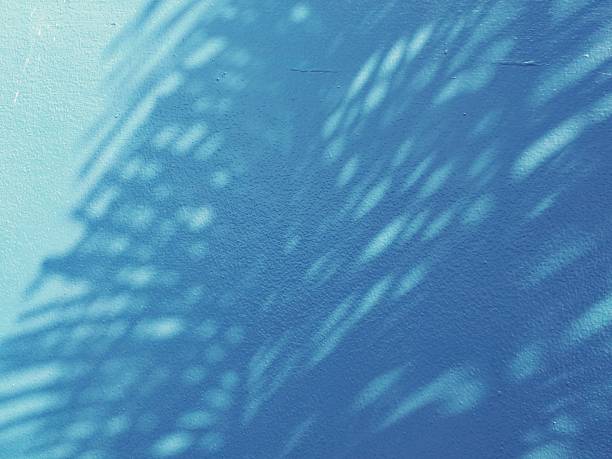 istock The late morning sun casts pine tree shadows on a blue concrete wall, leaving space for your work. 2208124918