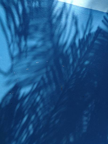 istock The late morning sun casts pine tree shadows on a blue concrete wall, leaving space for your work. 2208125695
