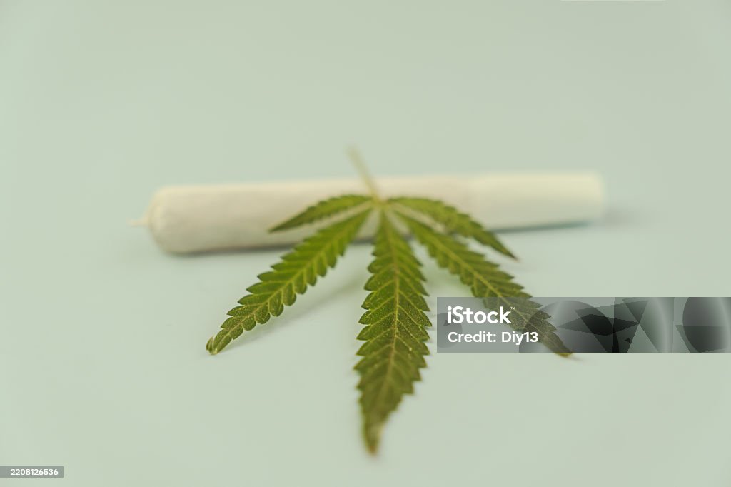 Cannabis are on blue table. Marijuana bob close up. Cannabis in white paper. BMPCC. Marijuana, weed, drug smoking concept. CBD, THC. legalization of light drugs.. Preparing cannabis for consumption - Lizenzfrei THC Stock-Foto Cannabis are on blue table. Marijuana bob close up. Cannabis in white paper. BMPCC. Marijuana, weed, drug smoking concept. CBD, THC. legalization of light drugs.. Preparing cannabis for consumption - Lizenzfrei THC Stock-Foto