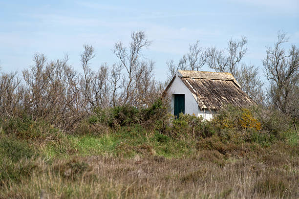 Rural scene, southern France