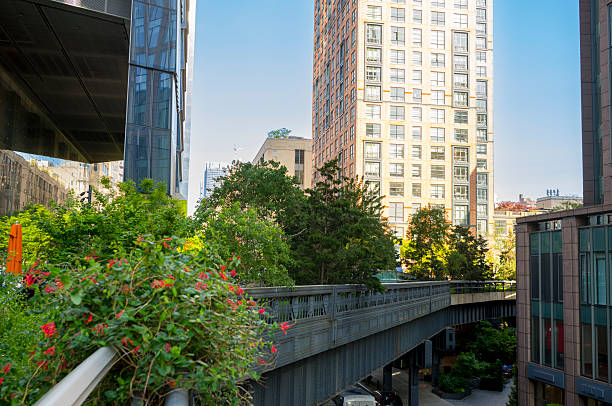 Green High Line Park surrounded by skyscrapers, Manhattan, New York, USA