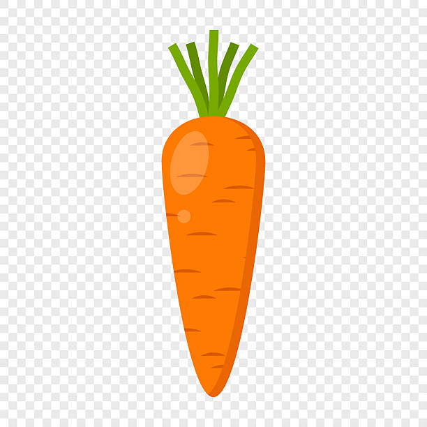Crunchy carrot vector icon isolated Crunchy carrot vector icon isolated carrot stock illustrations