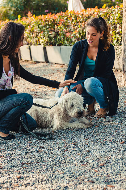 istock happiness friends walking at the park 2208136126
