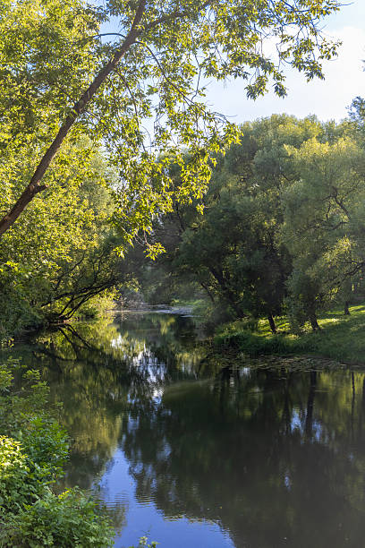istock Tranquil river scene with lush green trees reflecting in water under clear blue sky. Sunlight streams through foliage creating tranquil natural setting 2208138766