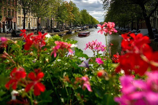 A canal cruise, framed by flowers, motors on a downtown canal. Amsterdam, Netherlands.