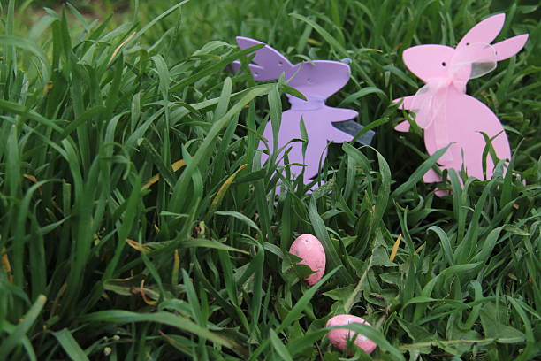 istock Two colorful rabbits in the grass. Easter eggs in the foreground. Easter concept, Easter egg hunt. 2208142075