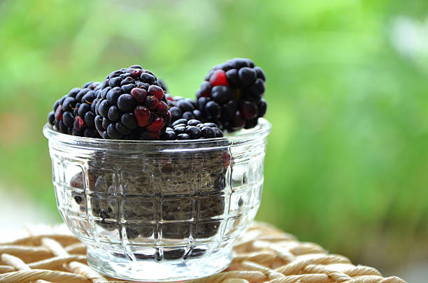 In the pot several ripe blackberry fruits (Rubus subg. Rubus)