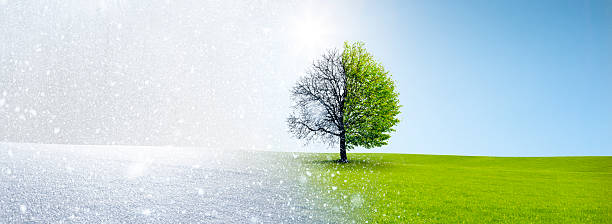 istock Change of seasons from winter to summer 2208146071