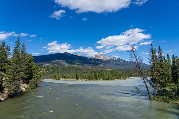 istock Miette River in Jasper National Park. Alberta, Canada. 2208147805