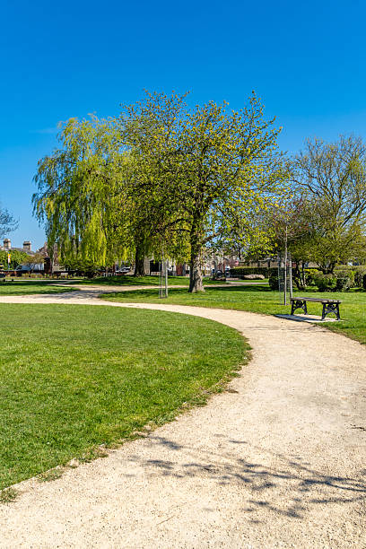 istock Footpath in The Park in Swindon 2208148498