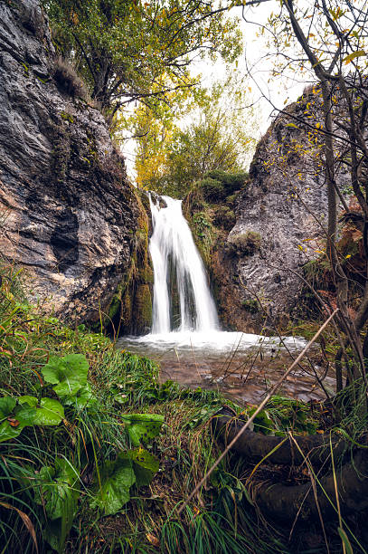 watewaterfall in autumn with green leaves