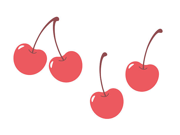 set mit 3 kirschsorten - kirsche stock-grafiken, -clipart, -cartoons und -symbole