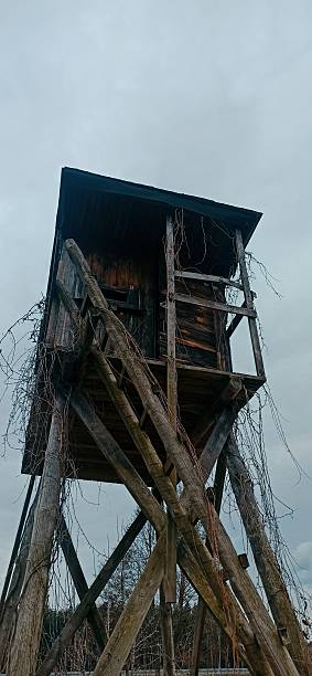 istock Cabin in the woods 2208157854