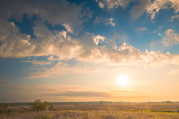 istock Gorgeous sunrise sky with beautiful clouds over summer wild grass field. 2208158329