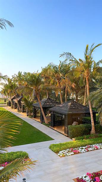 istock Palm garden path winds between black gazebos as flower beds line walkway, tropical resort features colorful blooms and tall trees under bright sky, landscape offers lush vacation peace. 2208158522