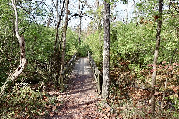 istock Wood Bridge on the Trail 2208160422