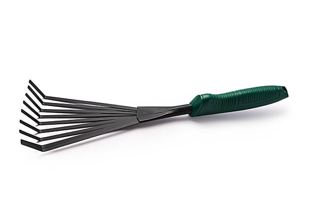 istock Small garden rake isolated on white background. Gardening tools. 2208168411